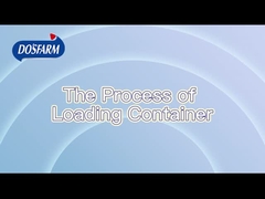 عملية شحن موحدة صارمة